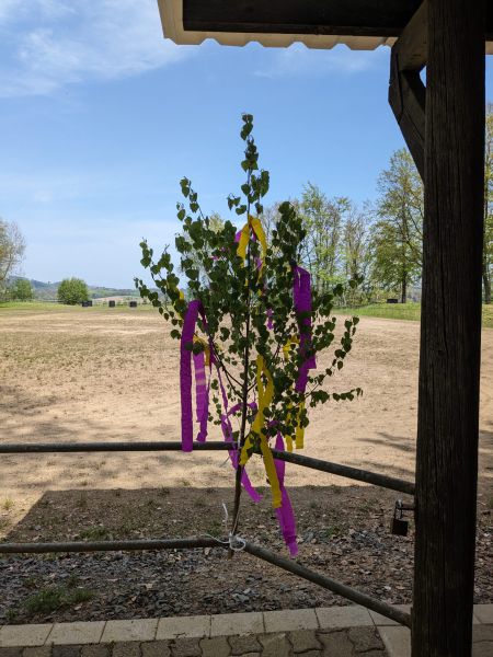 Ausfahrt zum 1.Mai 2024